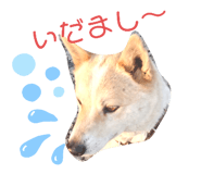 390265968