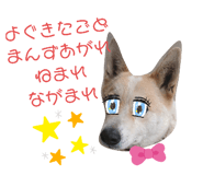 390265973