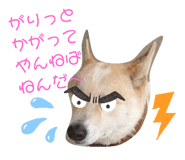 390265974