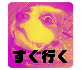 390266428