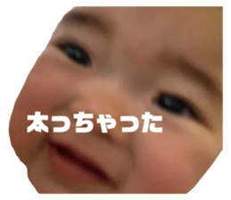 390286155