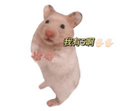 390304877
