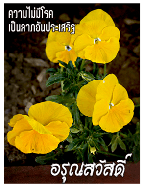 390352982