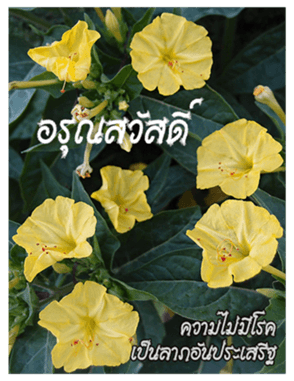 390353003