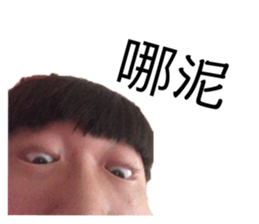 390380967