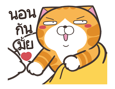 ลายที่ 8