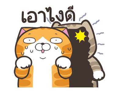 ลายที่ 24
