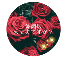 390491407