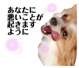 390503244