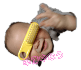390515017