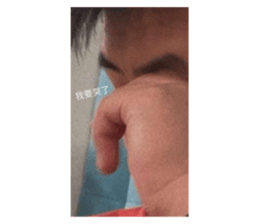 390516397