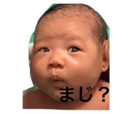 390516980