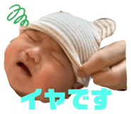 390529978