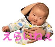 390529979