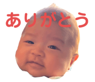 390529990