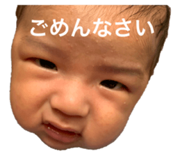 390545424