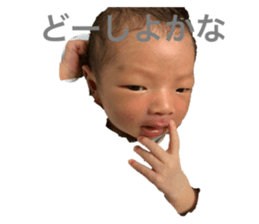 390545425