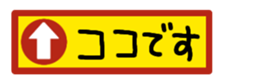 390545895