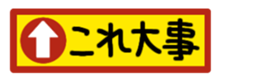 390545904