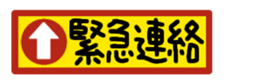 390545925