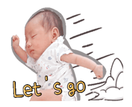 39055513