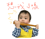 390579113