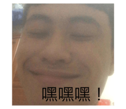 390587546