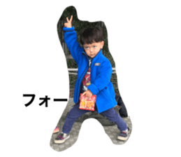 390593113
