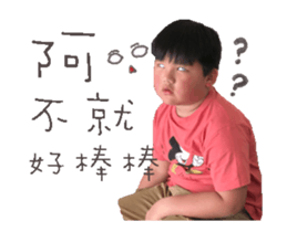 39059817