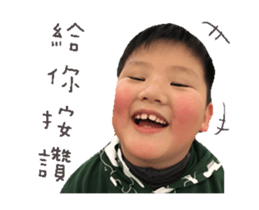 39059819