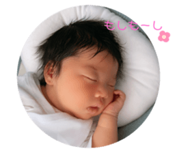390750358