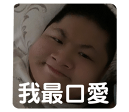 390778986