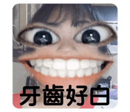 390780849