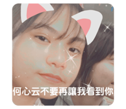 390780852
