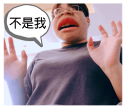 390782525