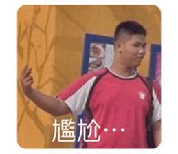 390852509