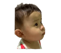 390858095