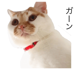 390889789