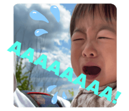 390911877