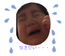 390915704