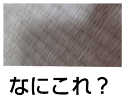 390961046