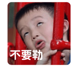 390966815