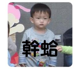 390966821