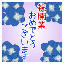 390967813