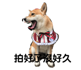 390971735