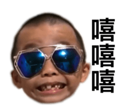 390996977