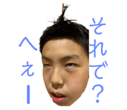 391006812