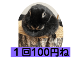 391031512