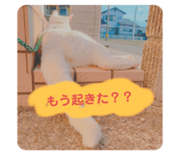 391036289