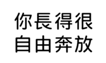 391055269